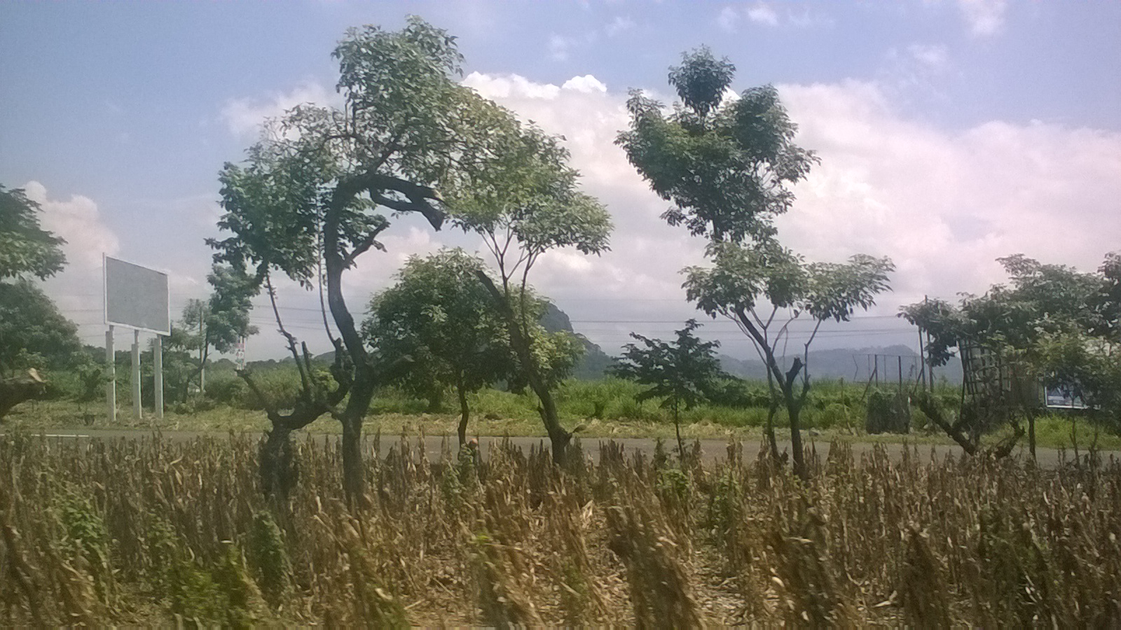 WP_20150828_10_30_28_Pro